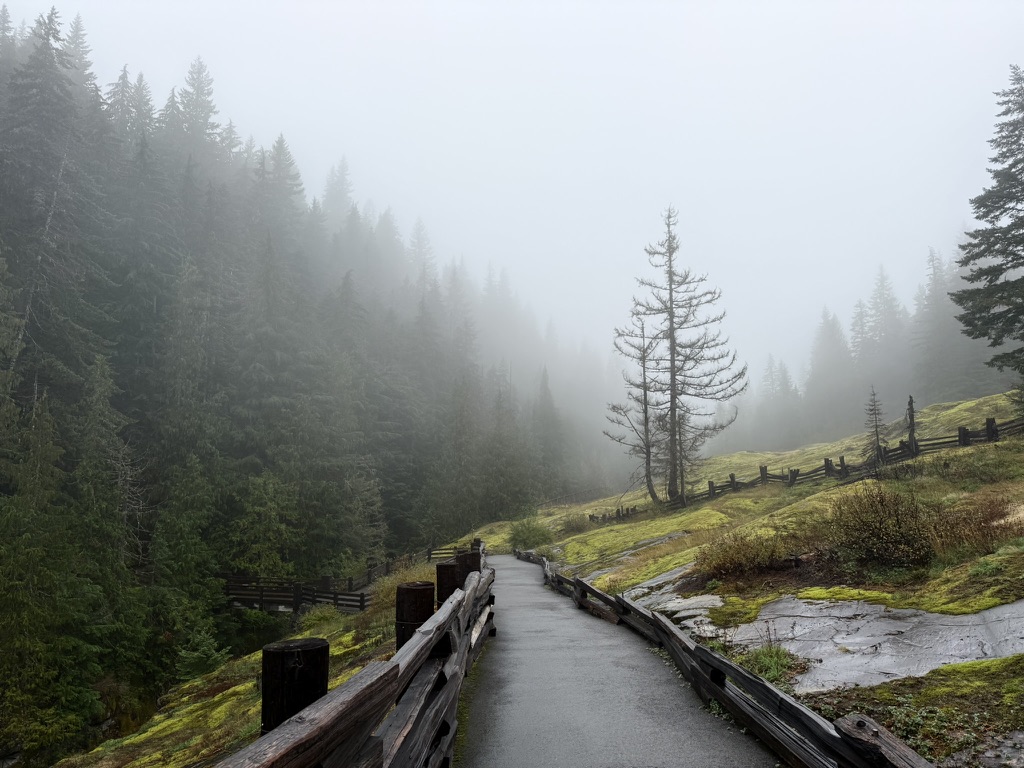 Walkway with Mount Rainier